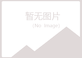 吴川晓夏因特网有限公司